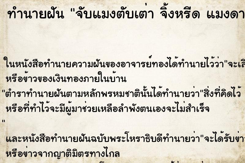 ทำนายฝันจับแมงตับเต่าจิ้งหรีดแมงดา ทำนายฝันทำนายฝันจับแมงตับเต่าจิ้งหรีดแมงดา